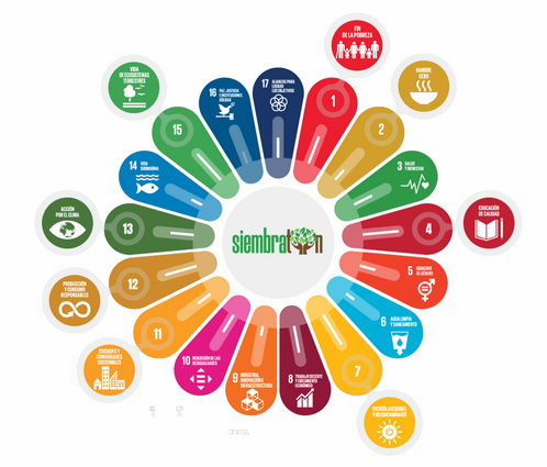 Guía de proyecto de restauración ecosistémica