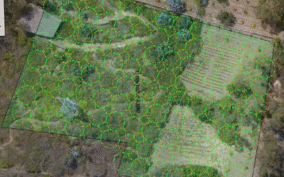 Diseño del bosque alimenticio