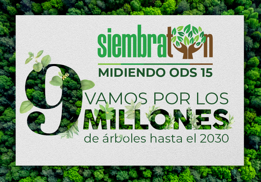 Banner 9M Siembraton